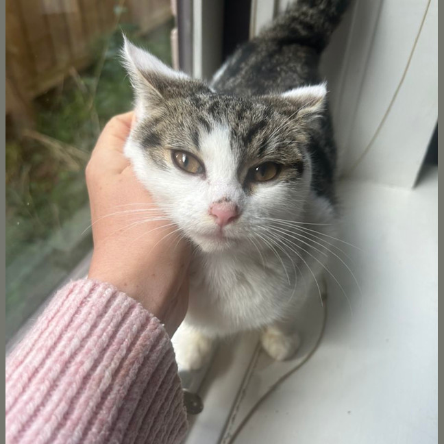 Photo of 🩷 Hattie 🩷