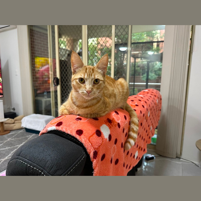 Photo of Monte