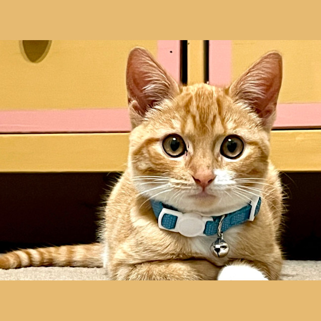 Photo of Flora