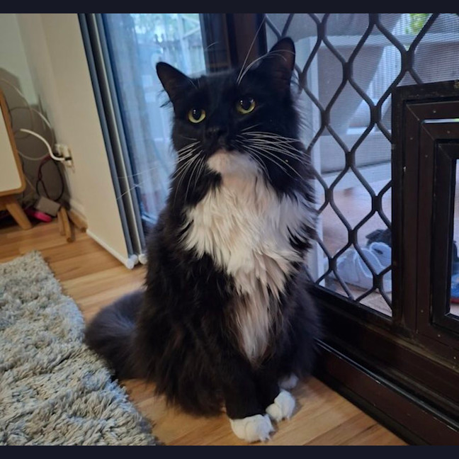 Photo of Manny