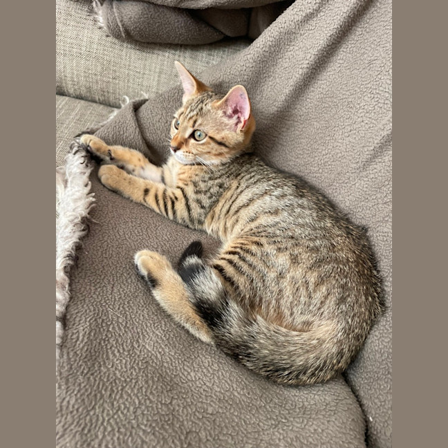 Photo of Mary