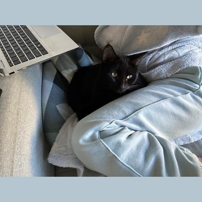 Photo of Milo   Malvern 