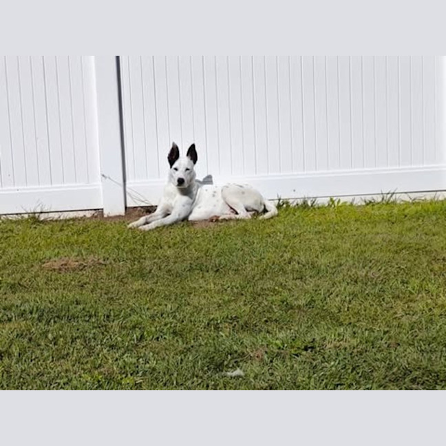 Photo of Zeke