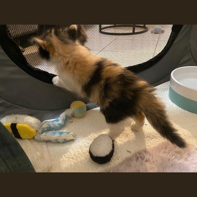 Photo of Hadley Parker