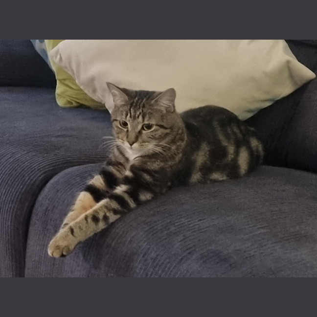 Photo of Lily