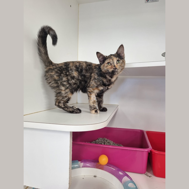 Photo of Nella