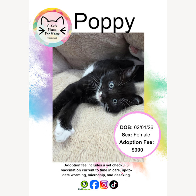 Photo of Poppy