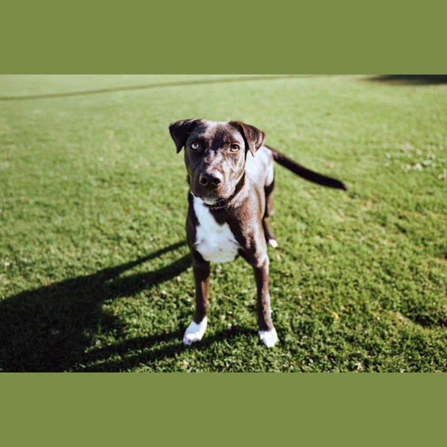 Photo of Toby Kumara