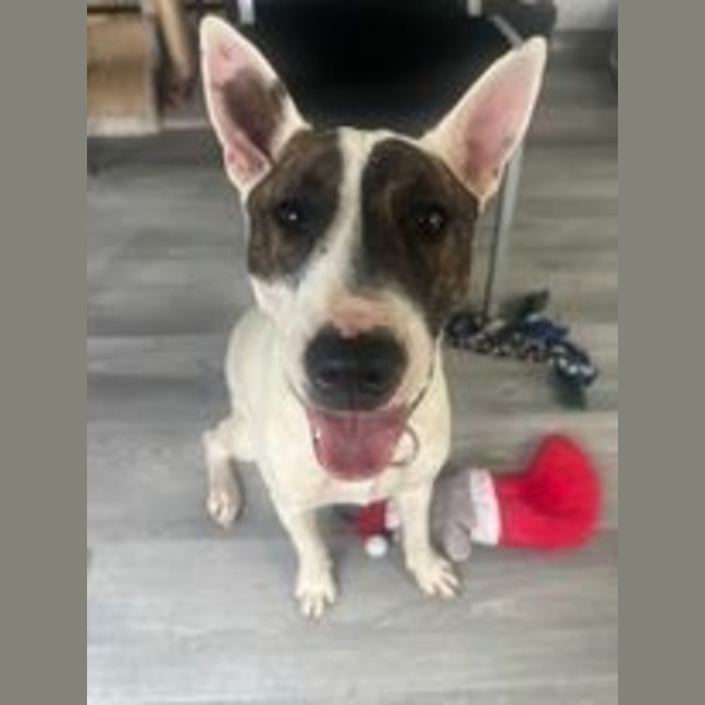 Photo of Gloria