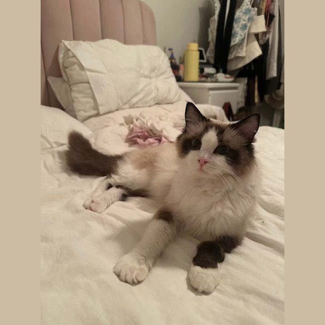 Photo of Princess