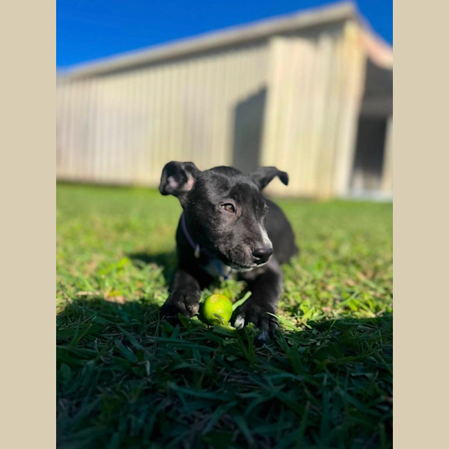 Photo of Marble