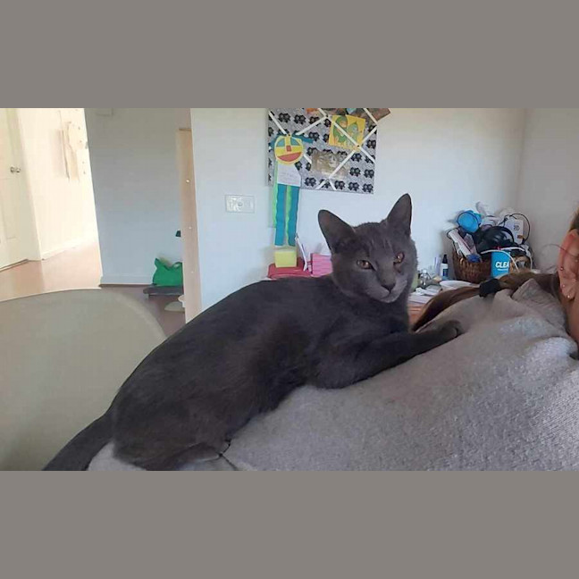 Photo of Stan