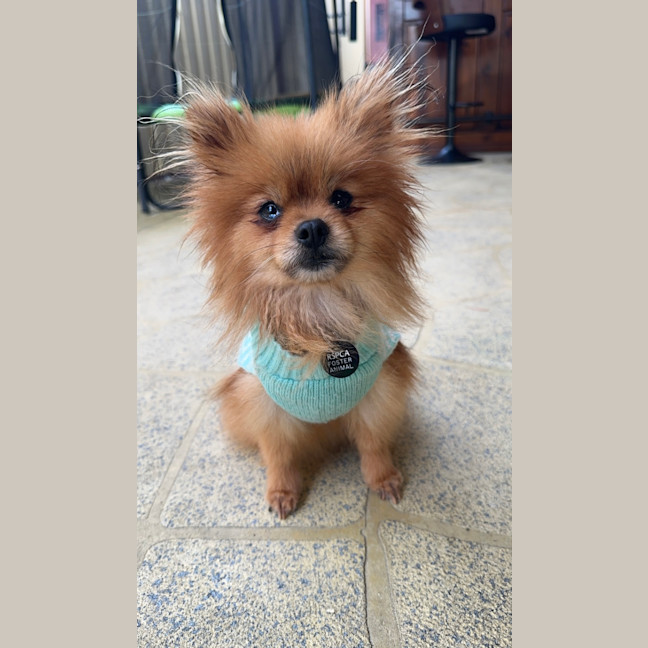 Photo of Pinky