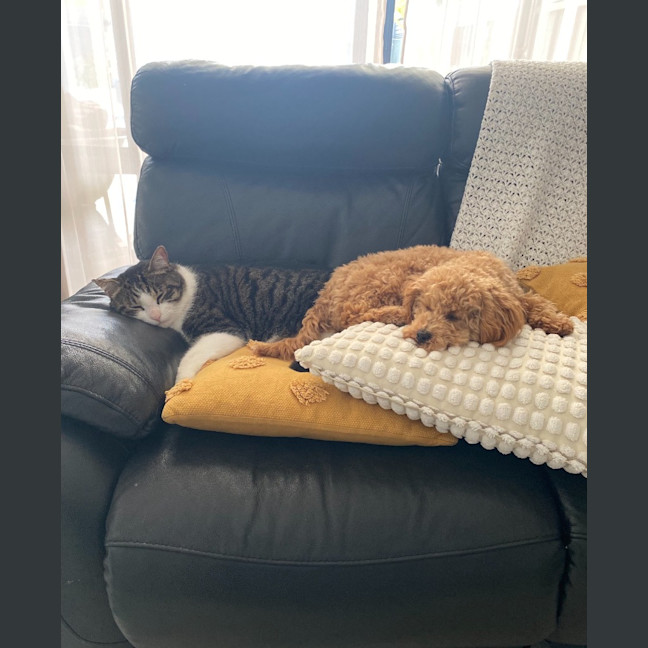 Photo of Monty