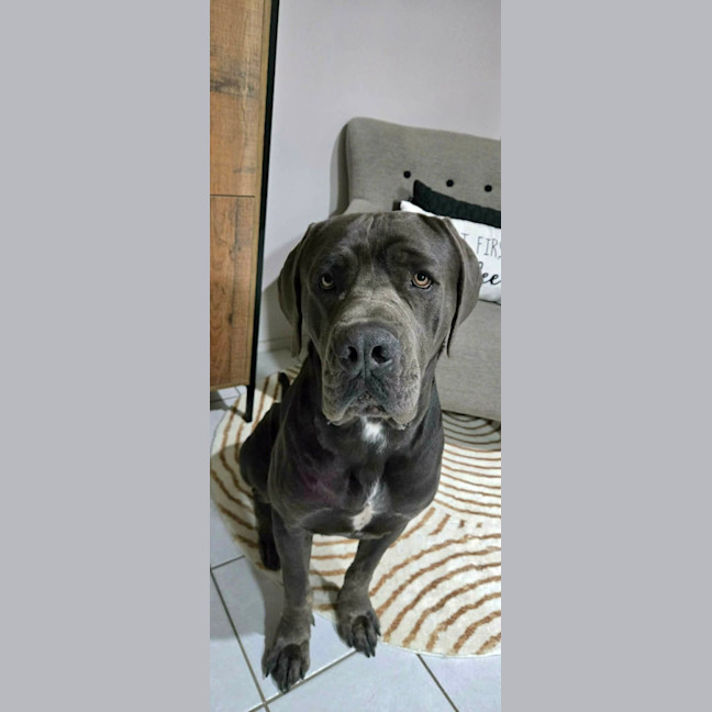 Photo of Clifford