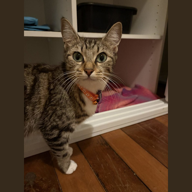 Photo of Bonny