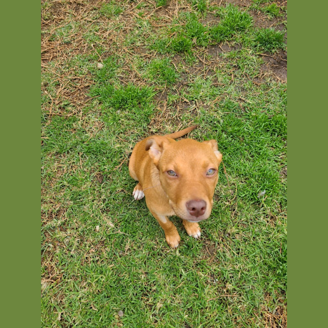 Photo of Mellyjane
