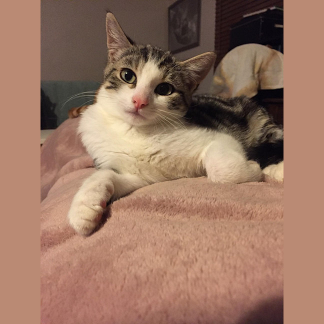 Photo of Mr Shmeagal