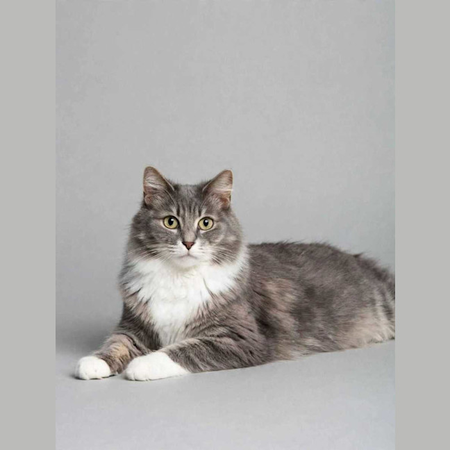 Photo of Misty