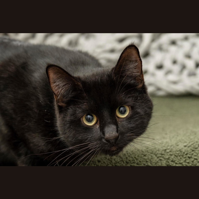 Photo of Freddy Mc Claw