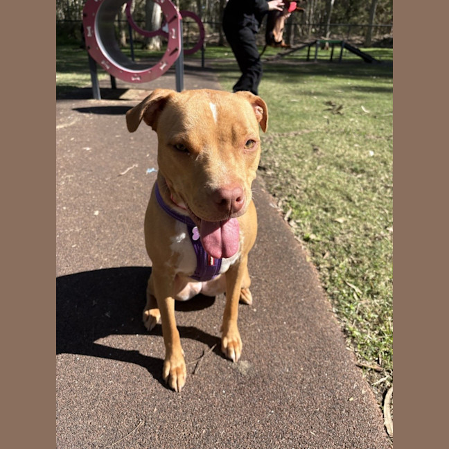 Photo of Polly