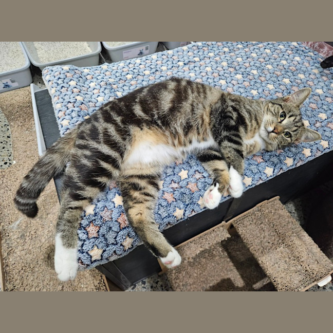 Photo of Hazel