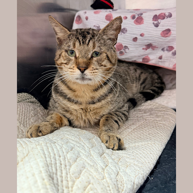 Photo of Bruce Wayne