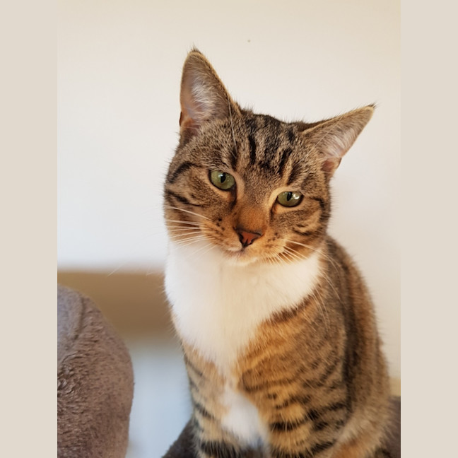Photo of Luna