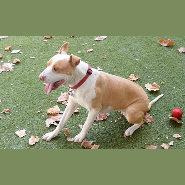 Photo of Darla