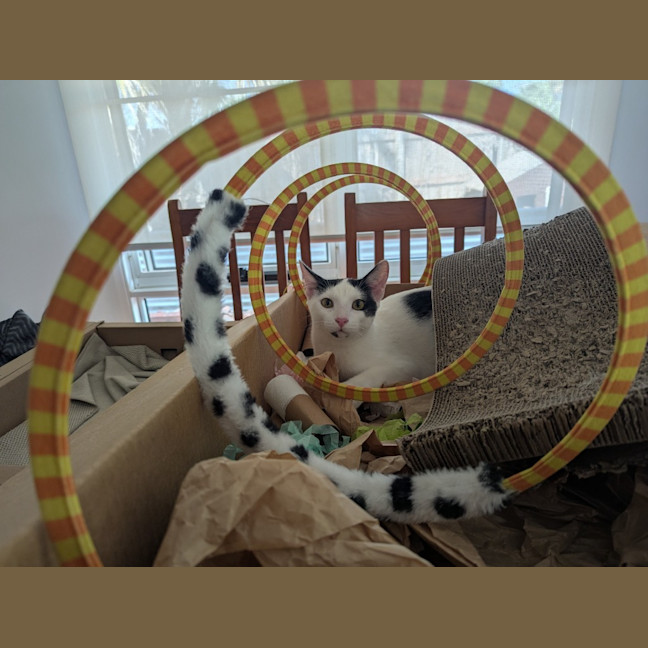 Photo of Ferris