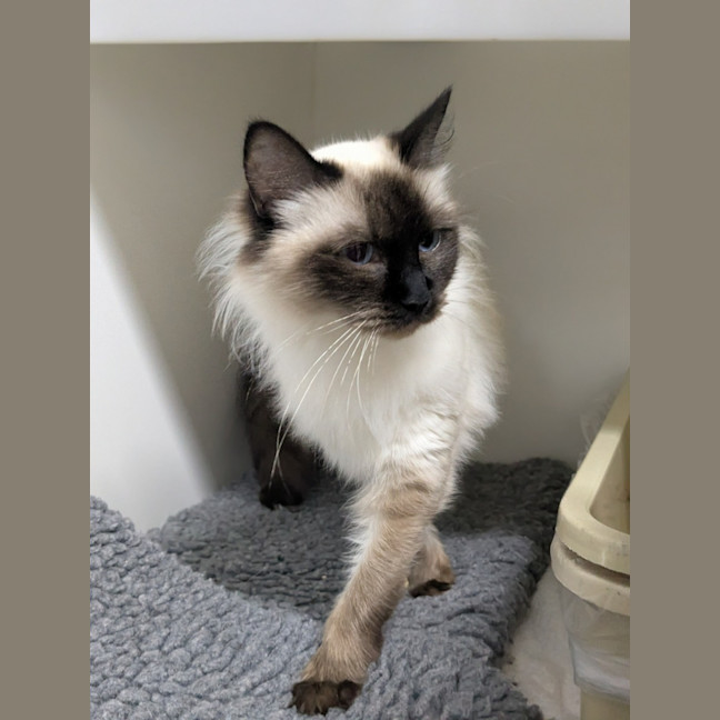 Photo of 🪼 Chloe 6924 🪼