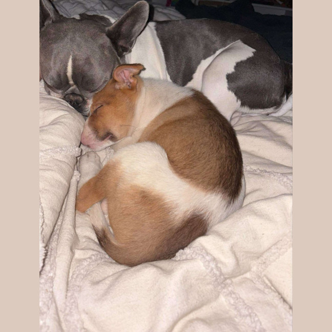 Photo of Benson Boon