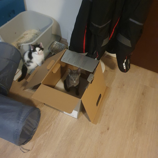 Photo of Mirabelle (With Aurora)