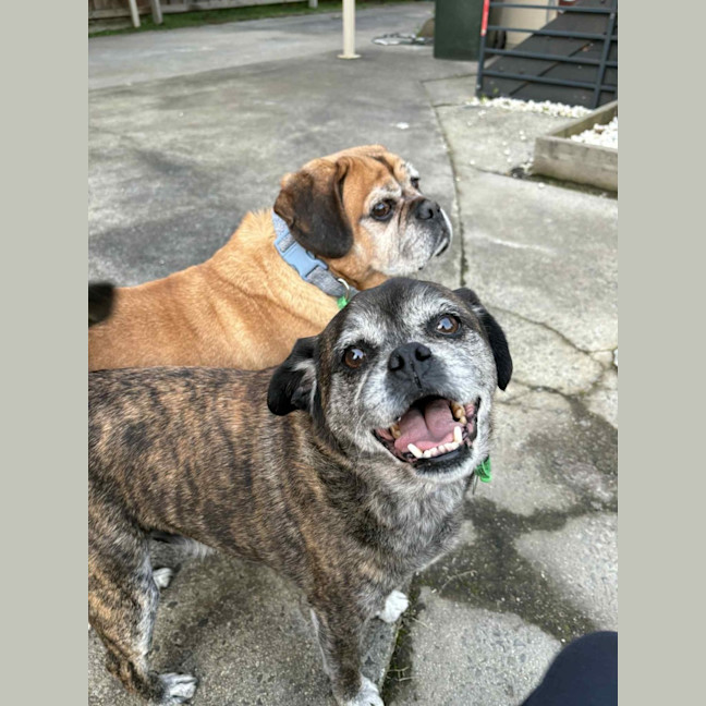 Photo of Covah And Teddy