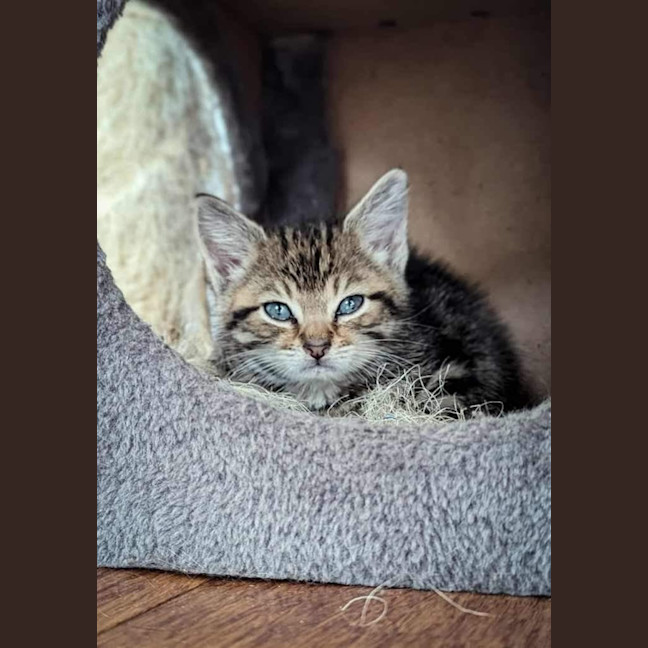 Photo of Miss Business (Bizzy) 