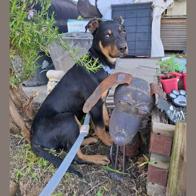 Photo of Thor