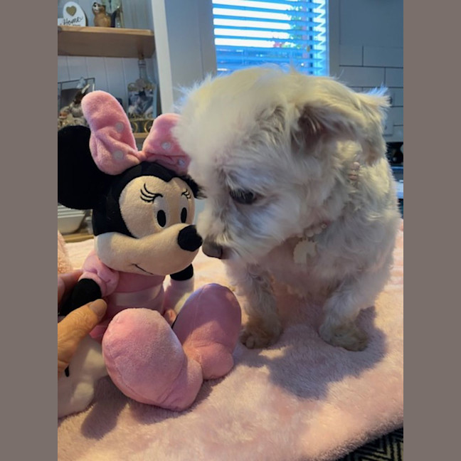Photo of Mollyrose🌹