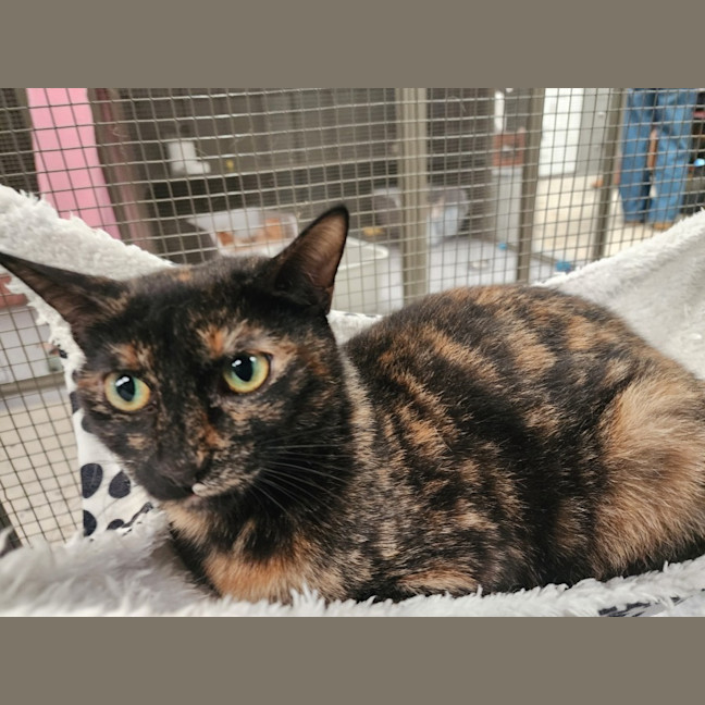 Photo of Mackenzie And Faith