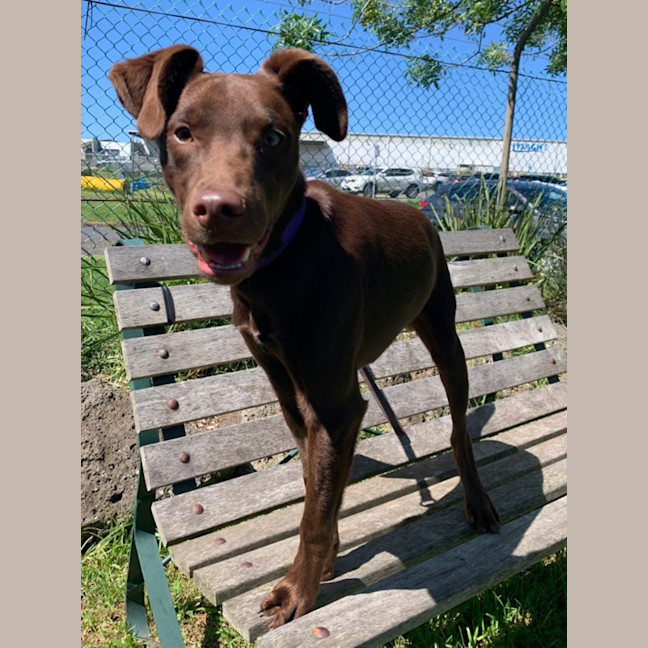 Photo of Freddie (67028)