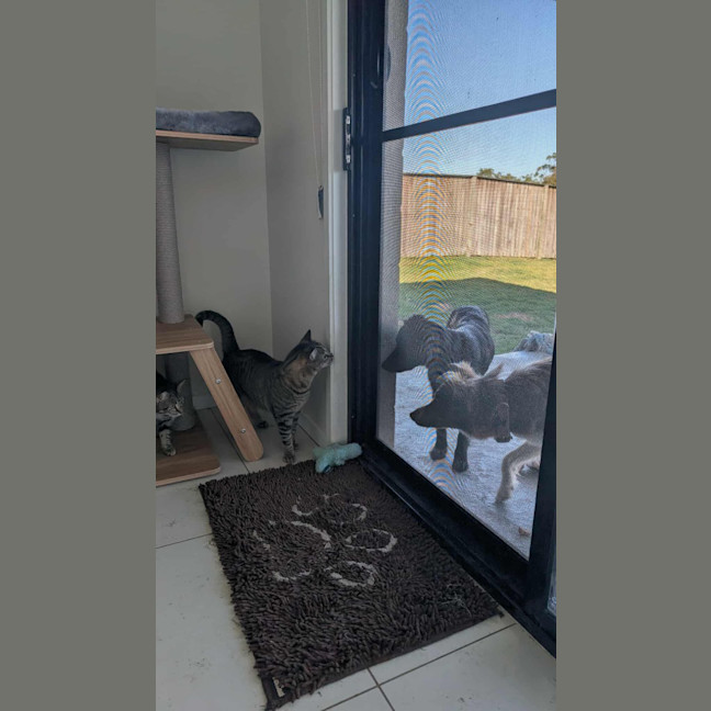 Photo of Storm