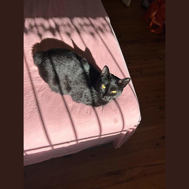 Photo of Salem