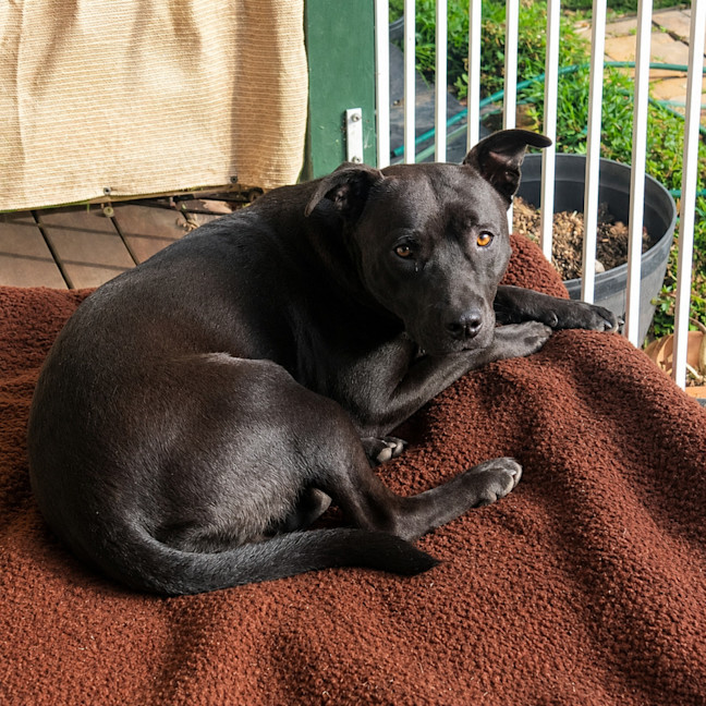 Photo of Tess