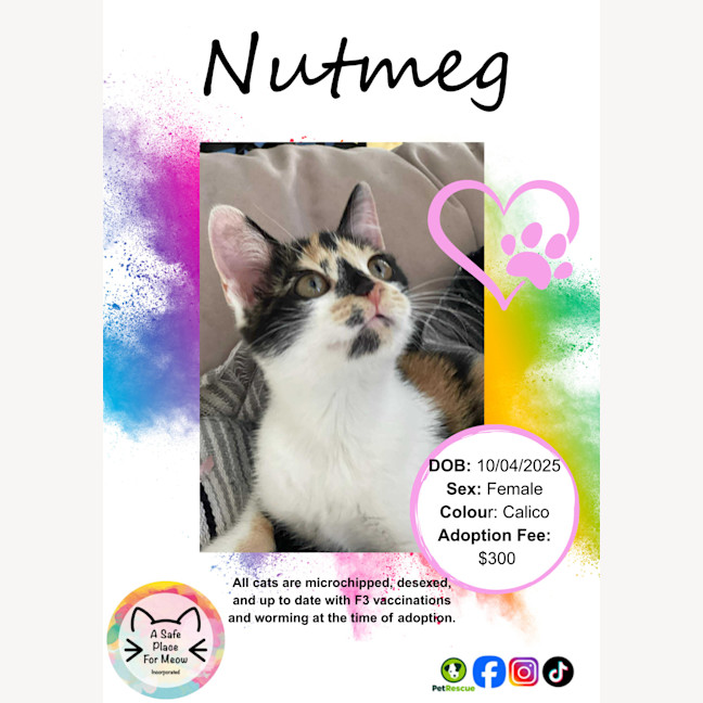 Photo of Nutmeg