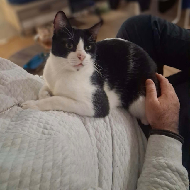 Photo of Ferris