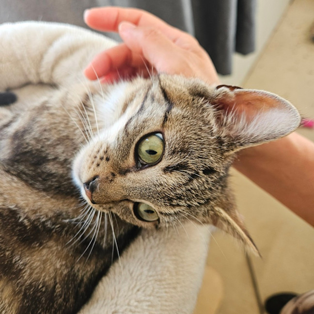 Photo of Mia
