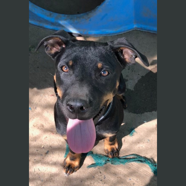 Photo of Lucy