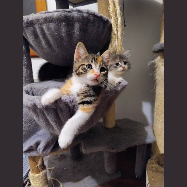 Photo of Eliza
