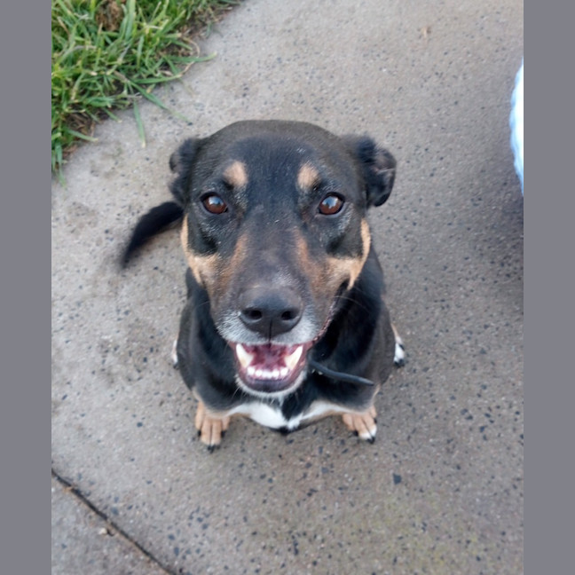 Photo of Duke