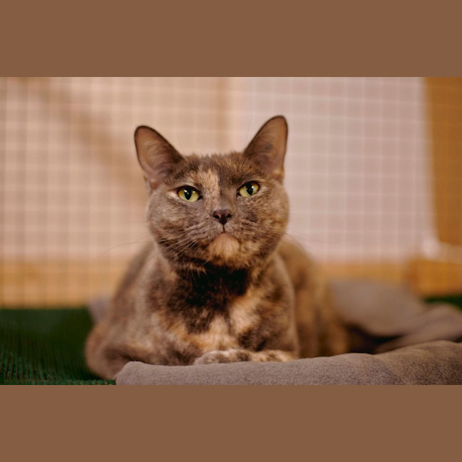 Photo of Barb