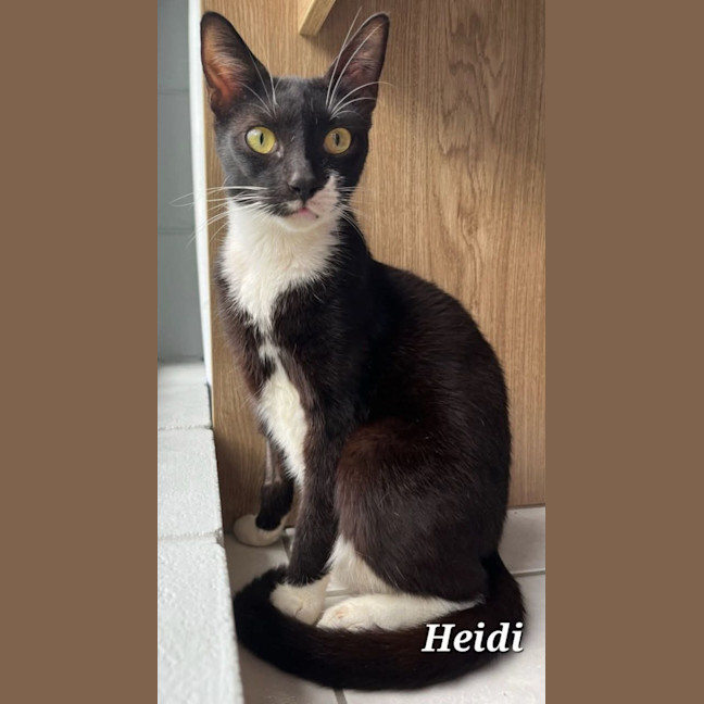 Photo of Heidi